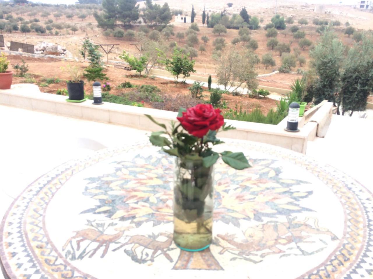 Villa Town Of Mount Nebo à Madaba Extérieur photo